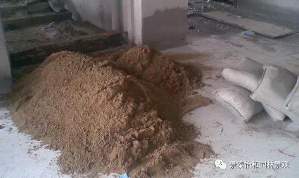 �����[���棡�@����ĝq�r�ˣ�����