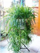 ������B������!